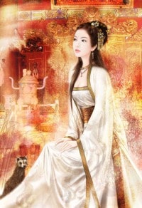 医道官途:妇产科